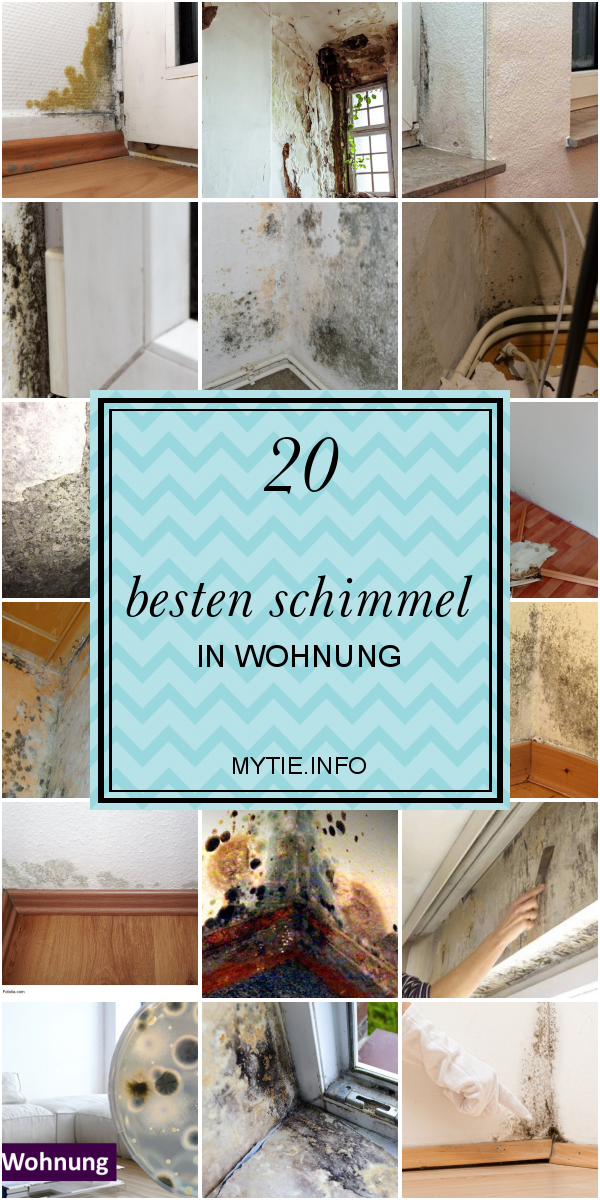 20 Besten Schimmel In Wohnung